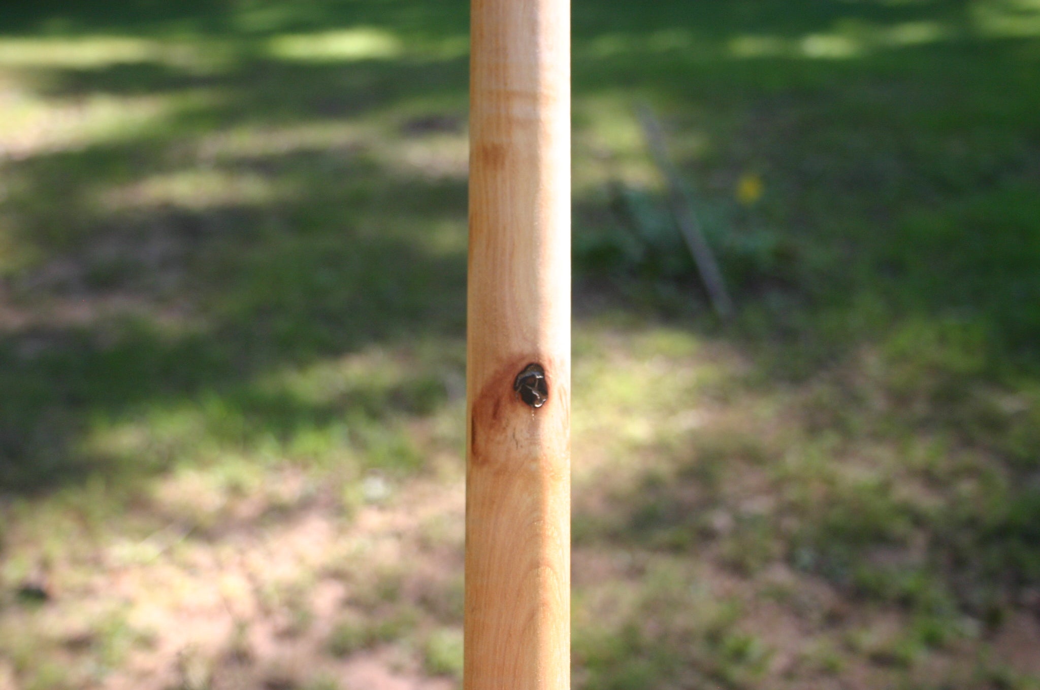 Flamed Curly Hickory Hanbo 1.25" 36" Staff Discounted